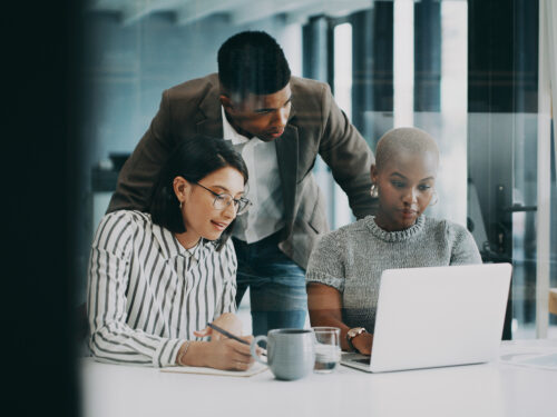 sap implementation roles