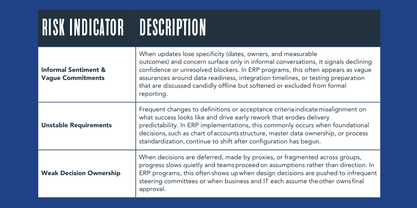 ERP PROJECT RISK - TIER 1