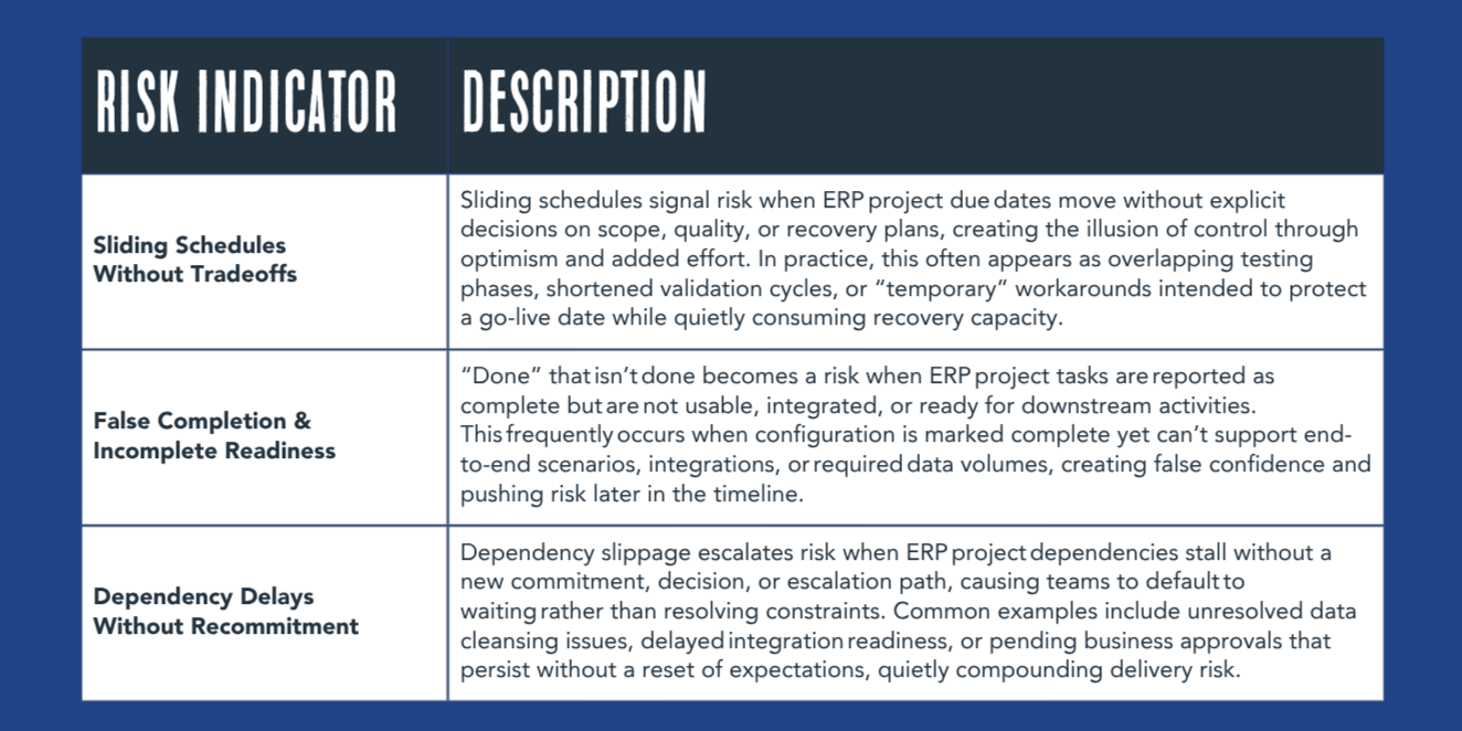 ERP PROJECT RISK - TIER 2