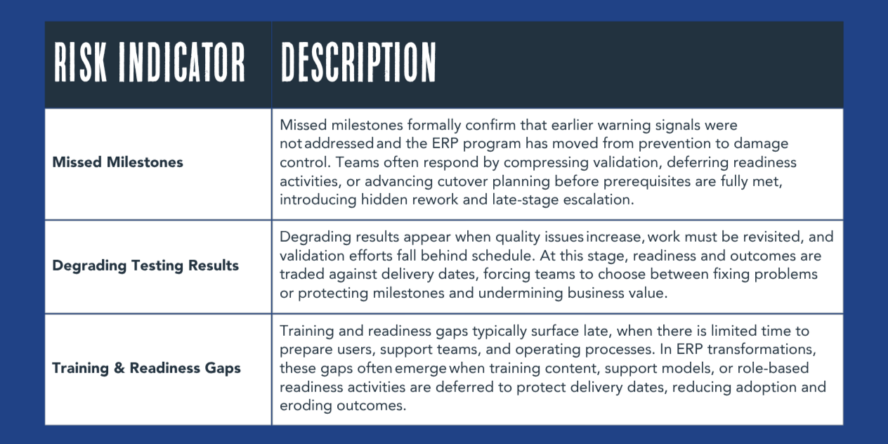 ERP PROJECT RISK - TIER 3