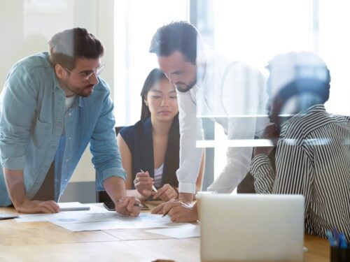 erp project team accountability
